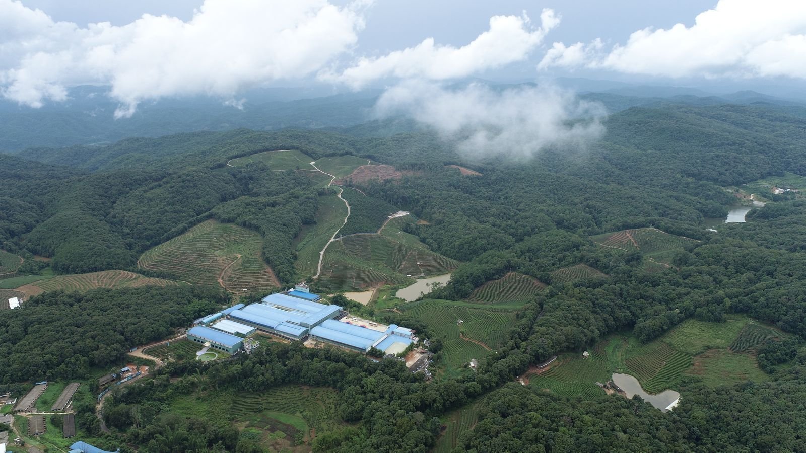 Yunnan Coffee Regions Map: A Complete Guide to China’s Premier Coffee Origin