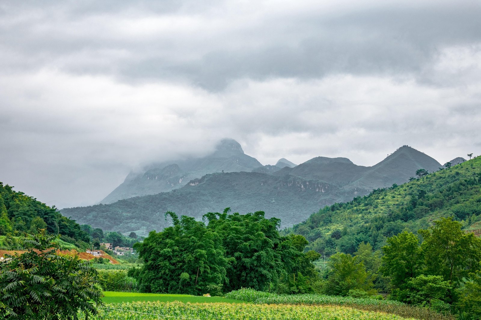 Yunnan Coffee Regions Map: A Complete Guide to China’s Premier Coffee Origin