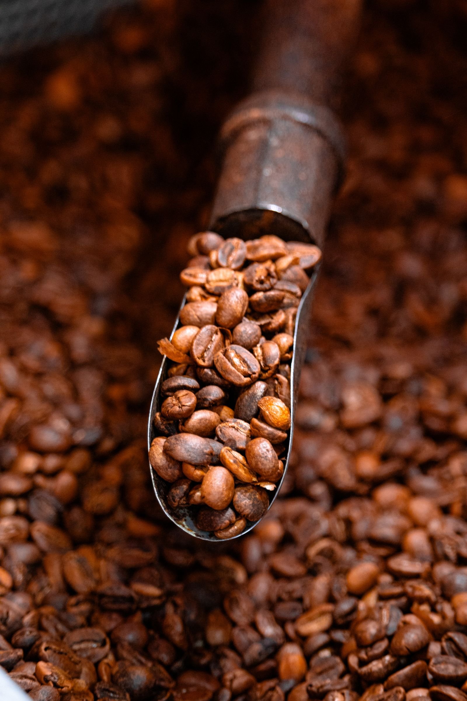 Best Coffee Grinders in 2026: Manual & Electric Picks for Every Budget
